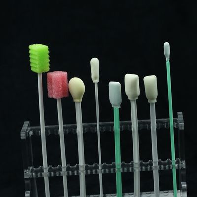 Dientes disponibles de los accesorios dentales que limpian las esponjas